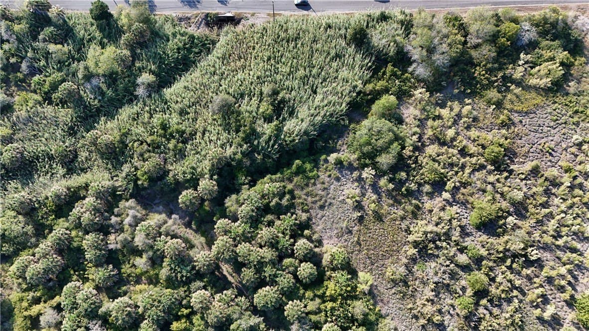 0.79 acres in San Patricio County - photo 8