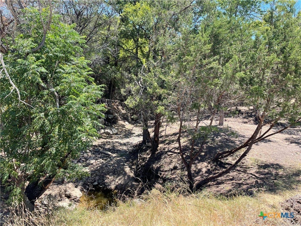 68.85 acres in Lampasas County - photo 5