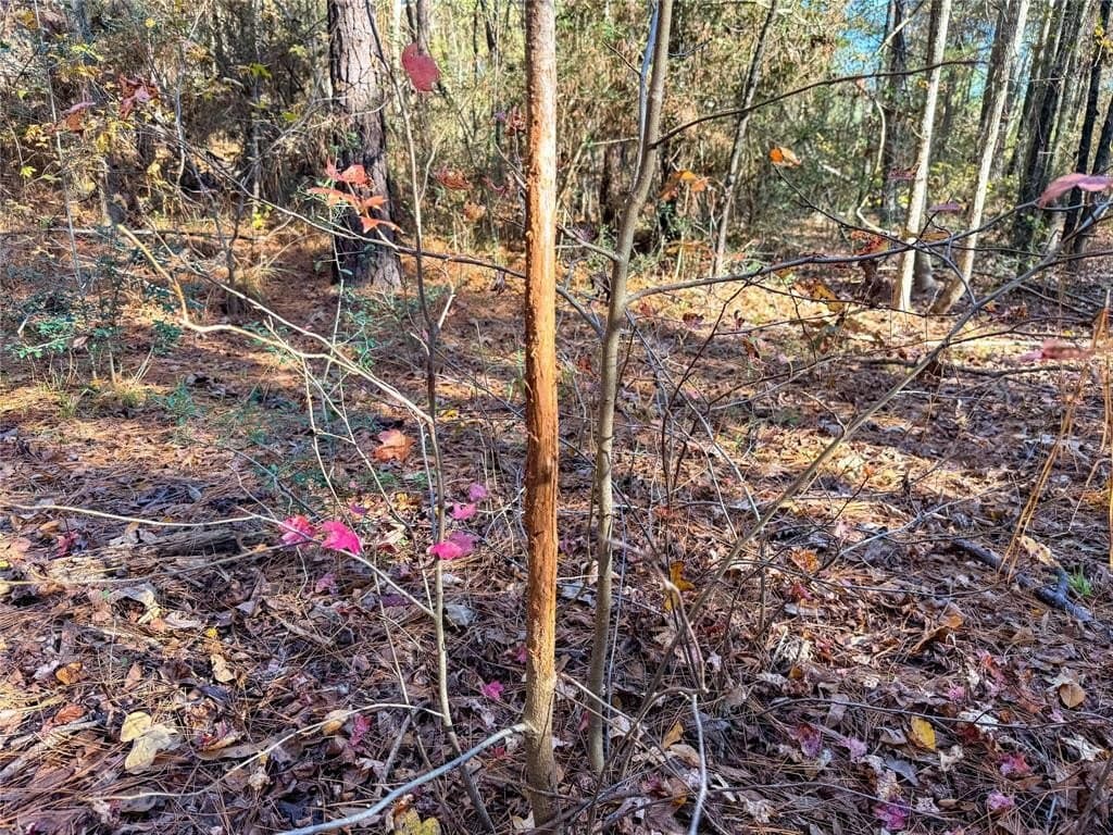 10.4 acres in Nacogdoches County - photo 35