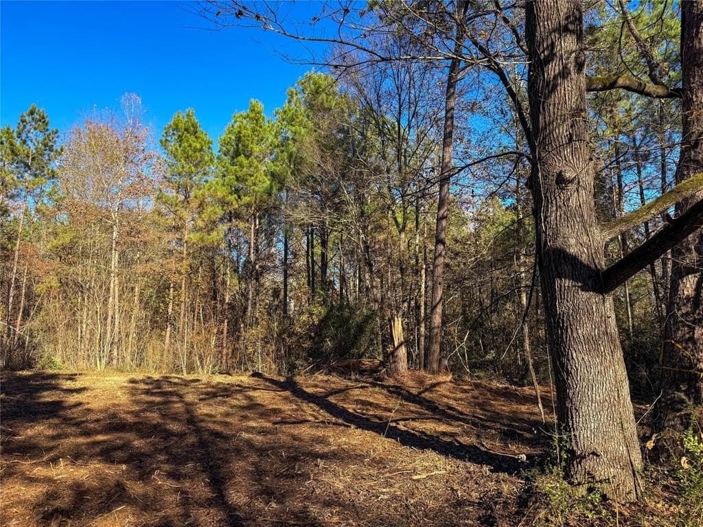 10.4 acres in Nacogdoches County - photo 26