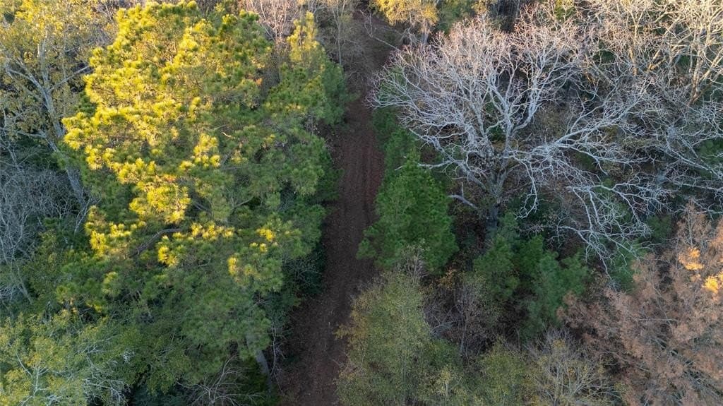 10.4 acres in Nacogdoches County - photo 14