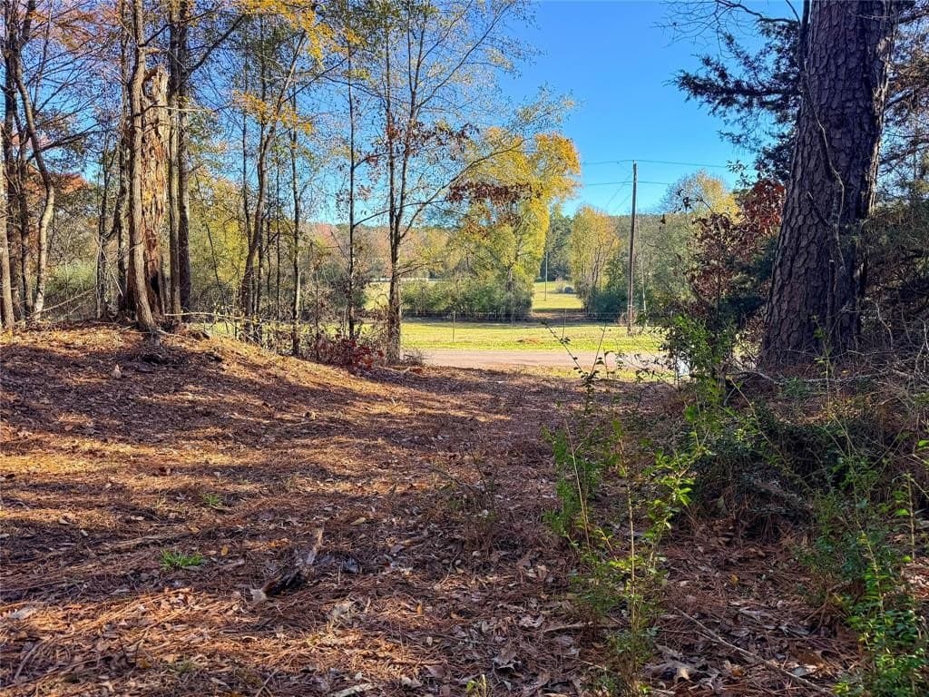 10.4 acres in Nacogdoches County - photo 19