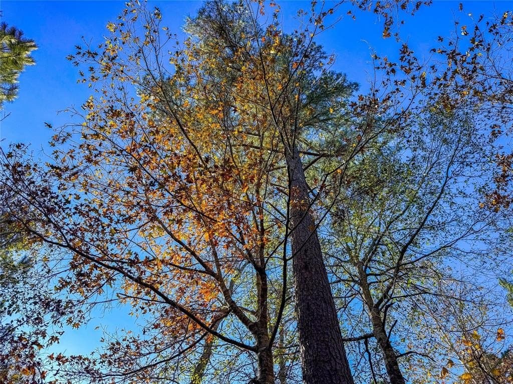 10.4 acres in Nacogdoches County - photo 34