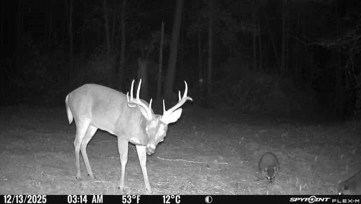 10.4 acres in Nacogdoches County - photo 36