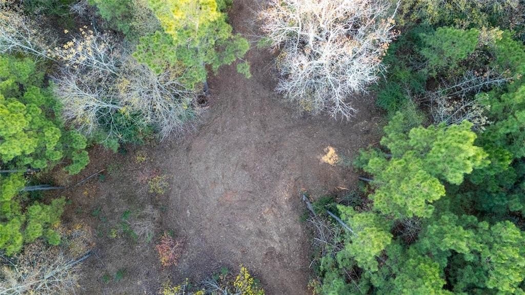 10.4 acres in Nacogdoches County - photo 13