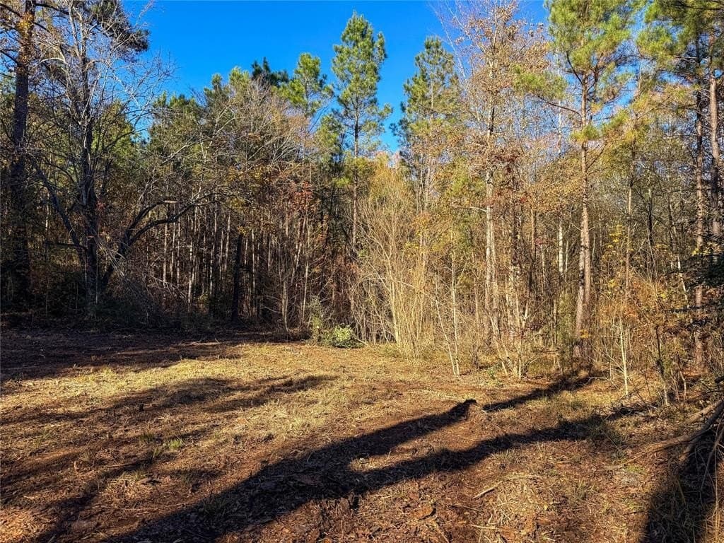 10.4 acres in Nacogdoches County - photo 22