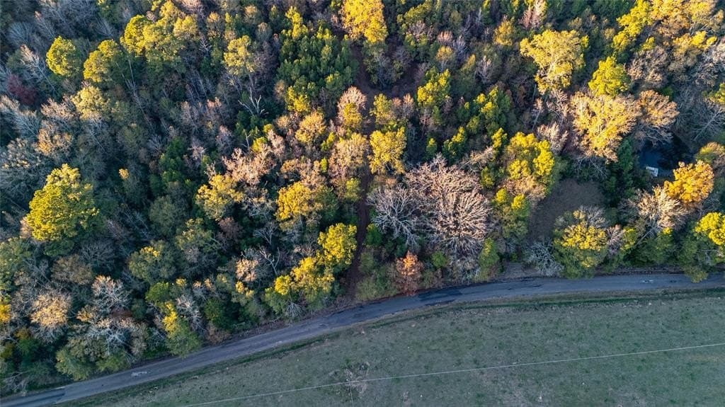 10.4 acres in Nacogdoches County - photo 2