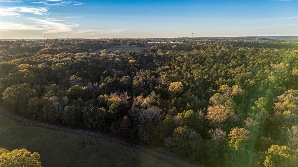10.4 acres in Nacogdoches County - photo 10