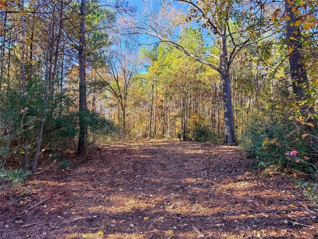 10.4 acres in Nacogdoches County - photo 25