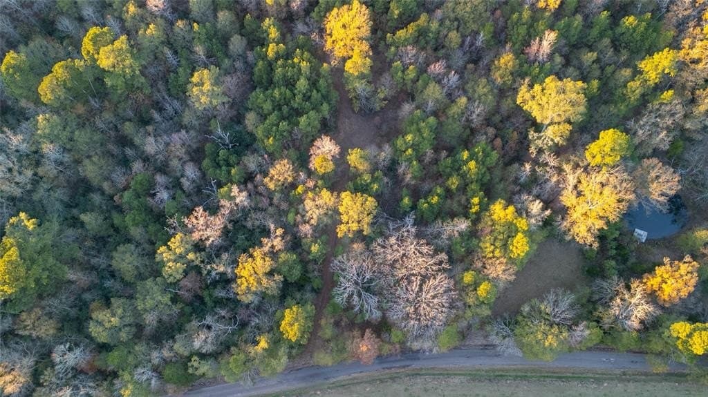 10.4 acres in Nacogdoches County - photo 12