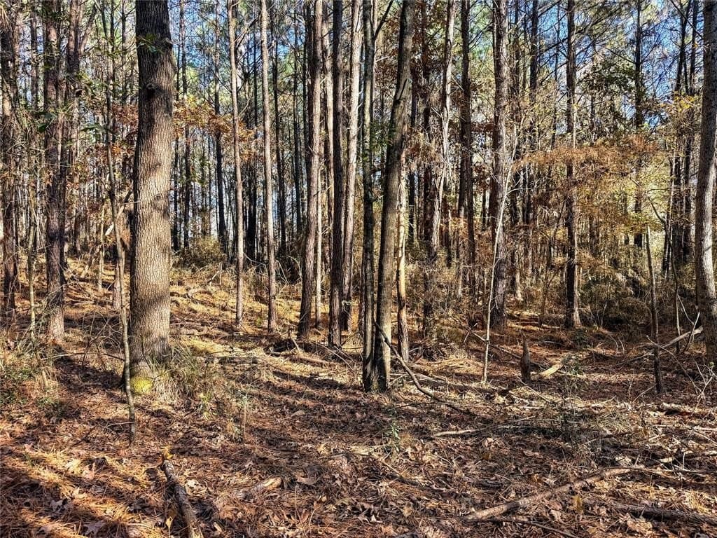 10.4 acres in Nacogdoches County - photo 33