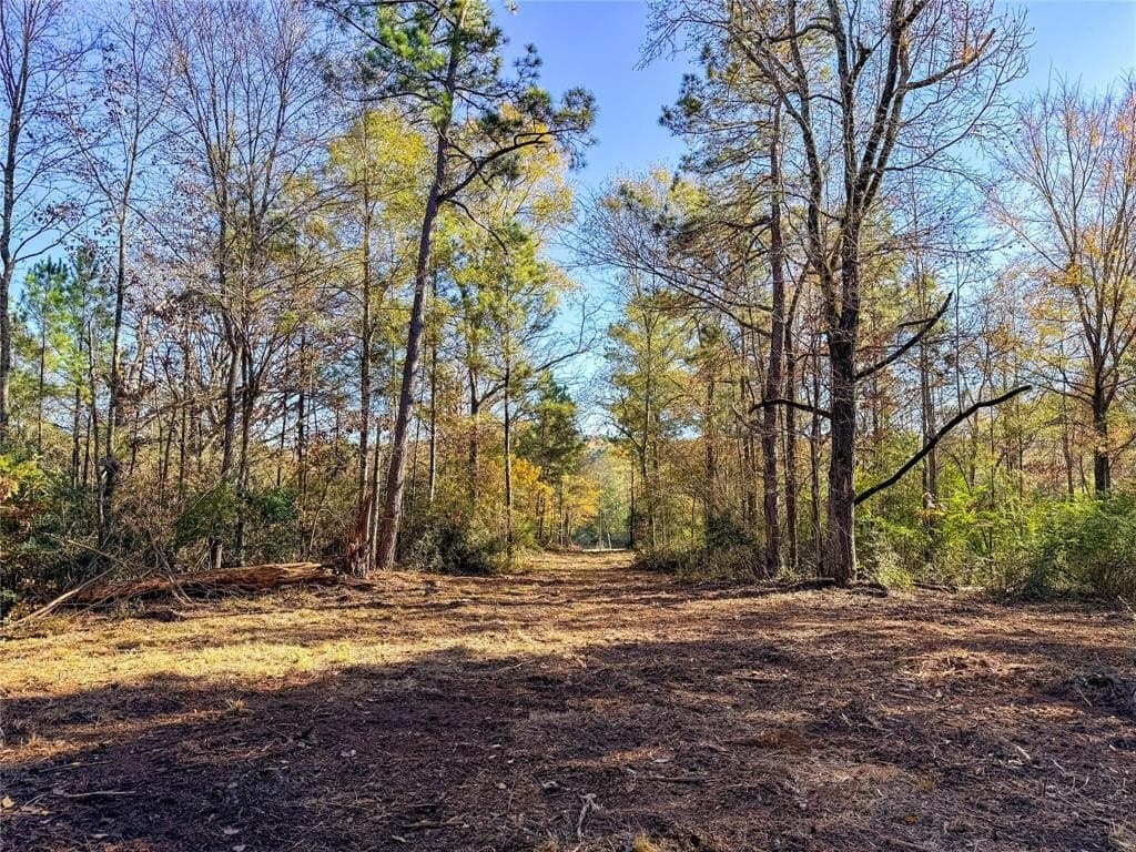 10.4 acres in Nacogdoches County - photo 27