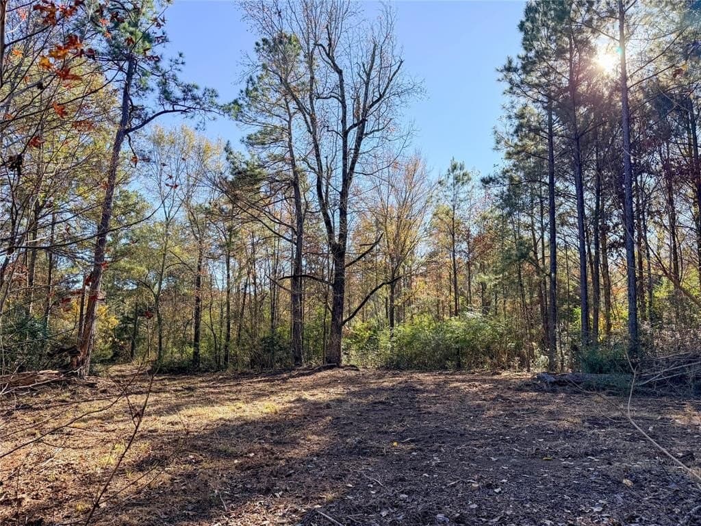 10.4 acres in Nacogdoches County - photo 28