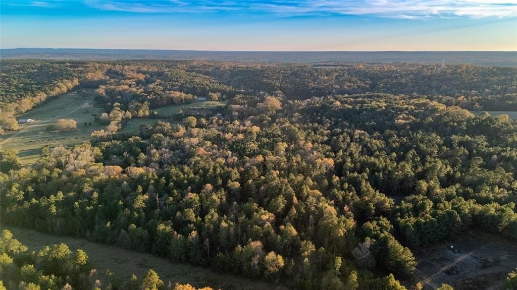 10.4 acres in Nacogdoches County - photo 7
