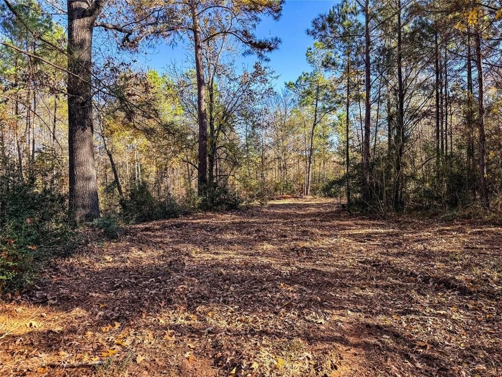 10.4 acres in Nacogdoches County - photo 32