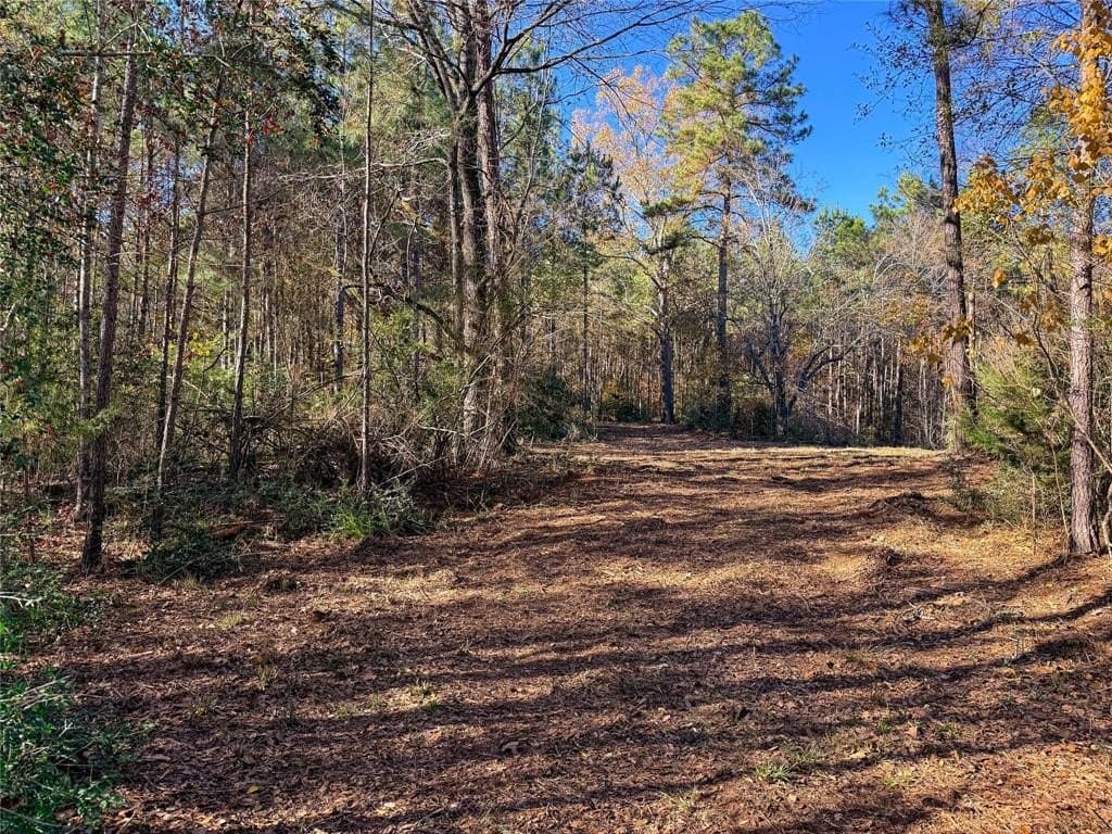10.4 acres in Nacogdoches County - photo 20