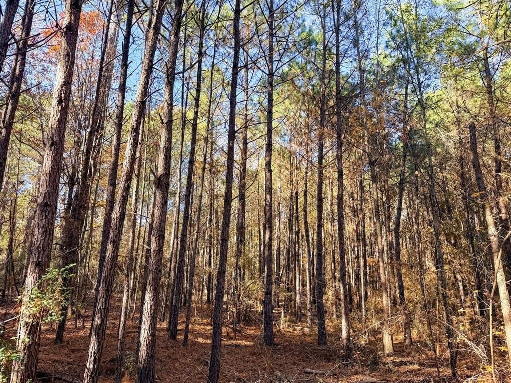 10.4 acres in Nacogdoches County - photo 30