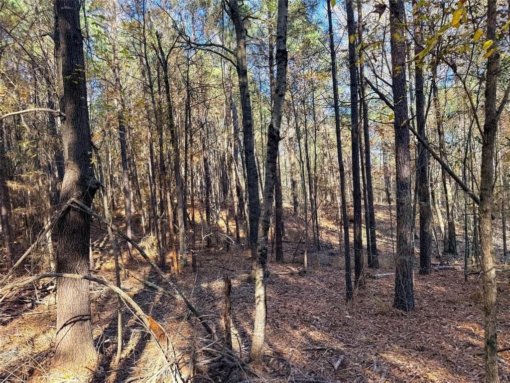 10.4 acres in Nacogdoches County - photo 31