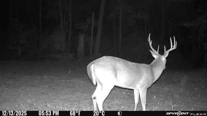 10.4 acres in Nacogdoches County - photo 40