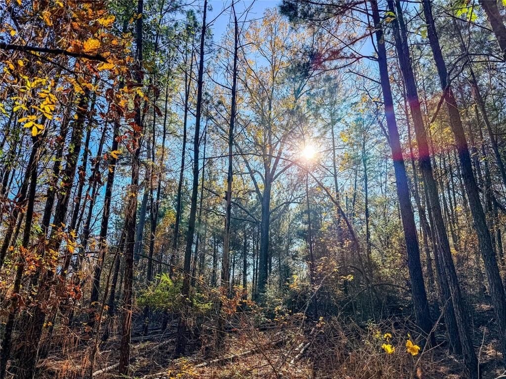 10.4 acres in Nacogdoches County - photo 29
