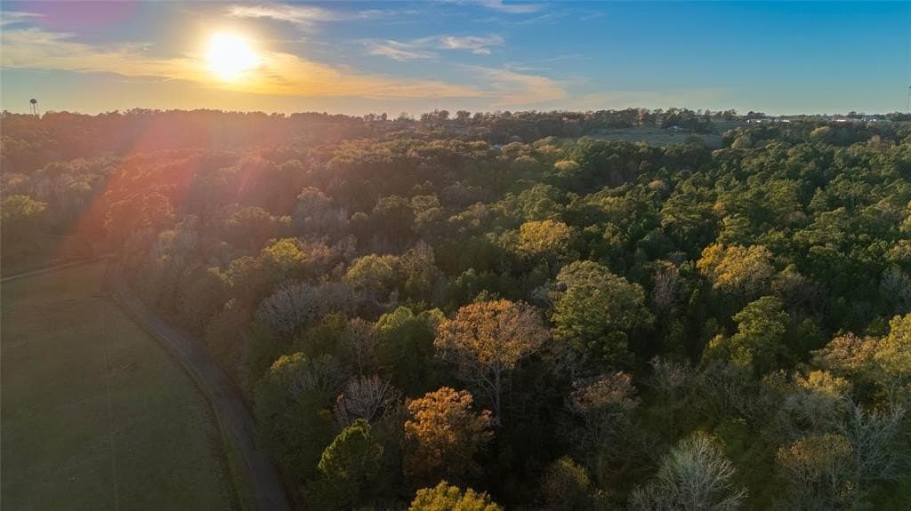 10.4 acres in Nacogdoches County - photo 11