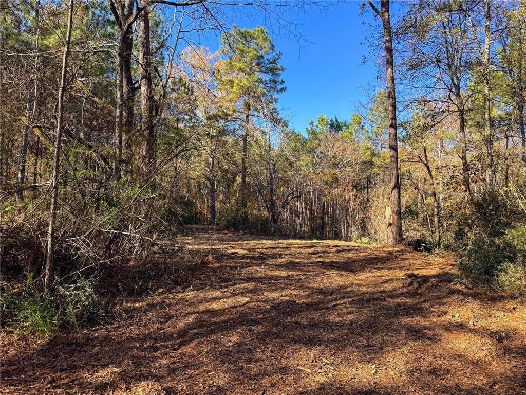 10.4 acres in Nacogdoches County - photo 21