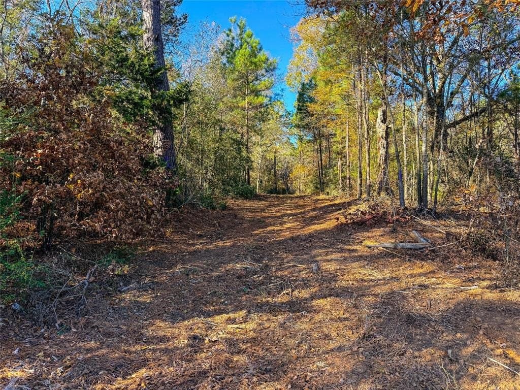 10.4 acres in Nacogdoches County - photo 18