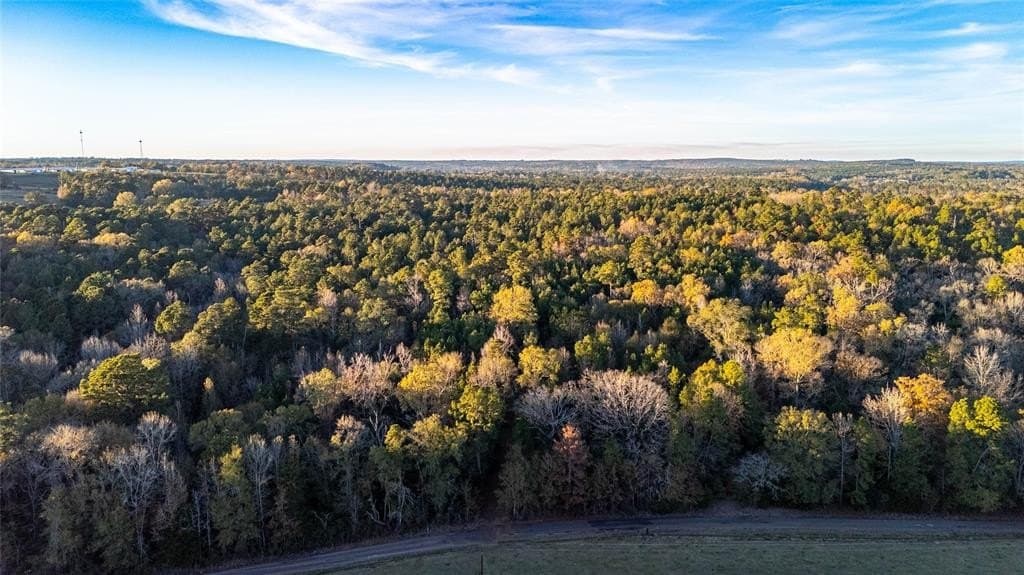 10.4 acres in Nacogdoches County - photo 4