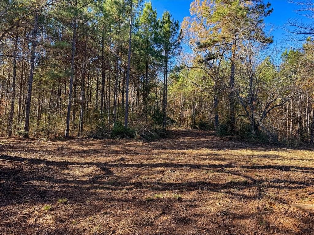 10.4 acres in Nacogdoches County - photo 23