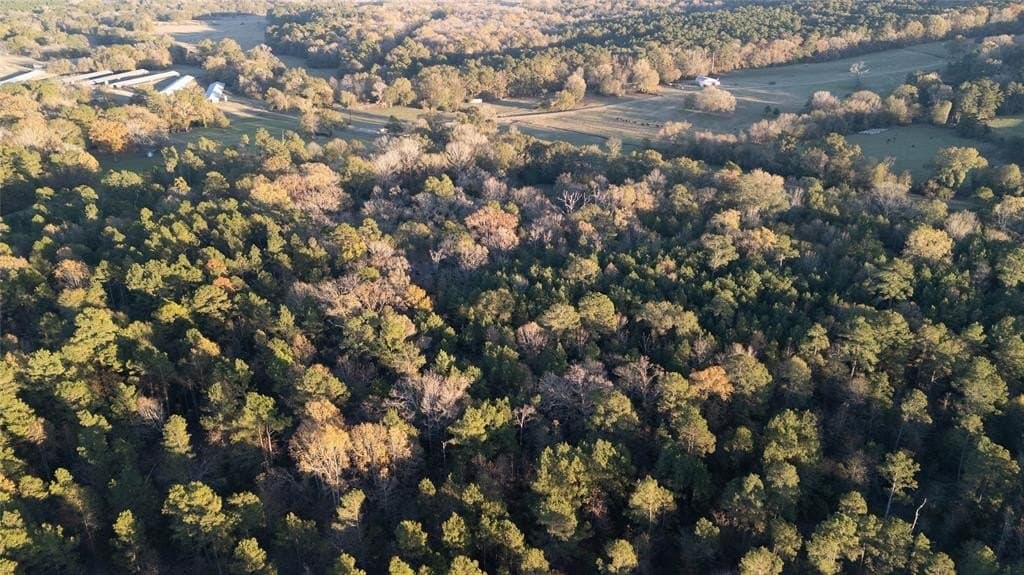 10.4 acres in Nacogdoches County - photo 6