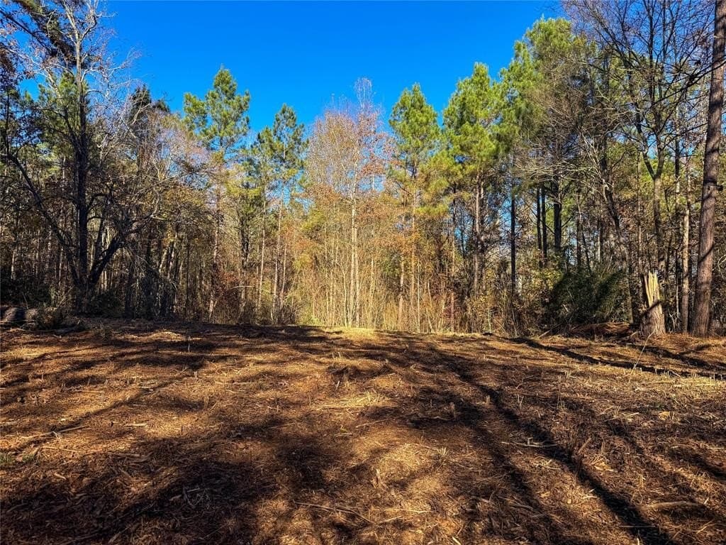 10.4 acres in Nacogdoches County - photo 24