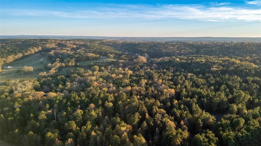 10.4 acres in Nacogdoches County - photo 9