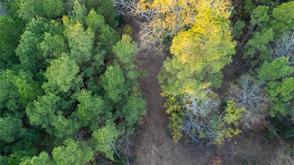 10.4 acres in Nacogdoches County - photo 15