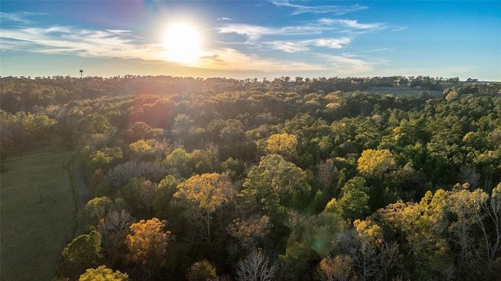 10.4 acres in Nacogdoches County - photo 5