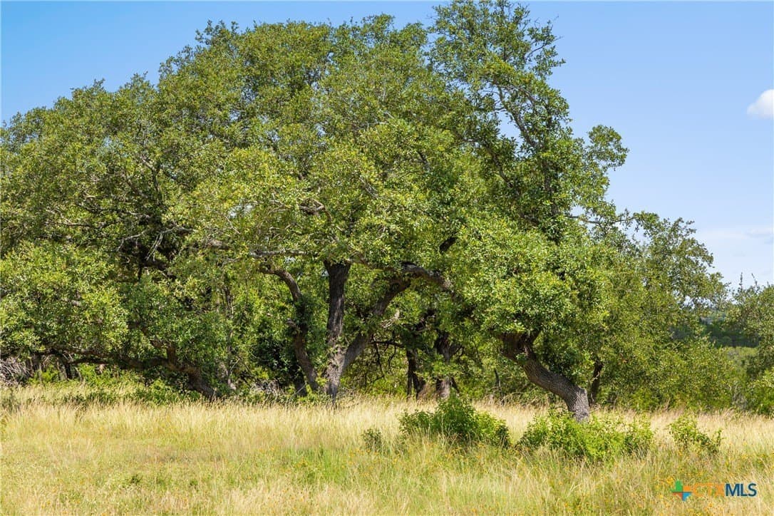 4.19 acres in Comal County - photo 5