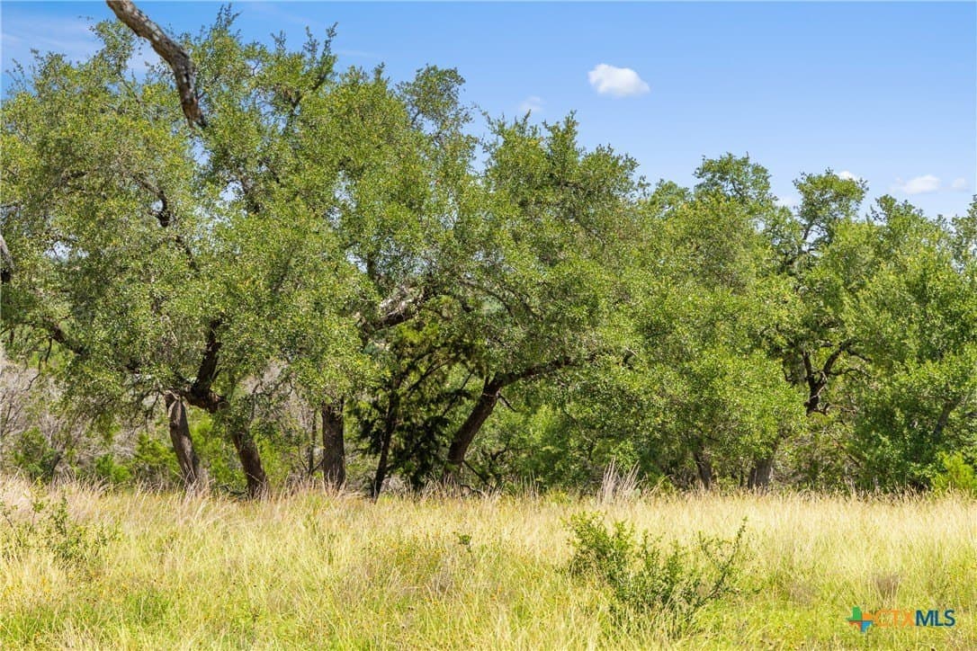 4.19 acres in Comal County - photo 4