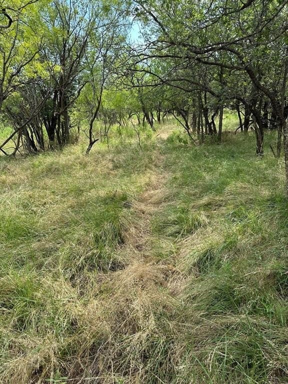 11 acres in Shackelford County - photo 2