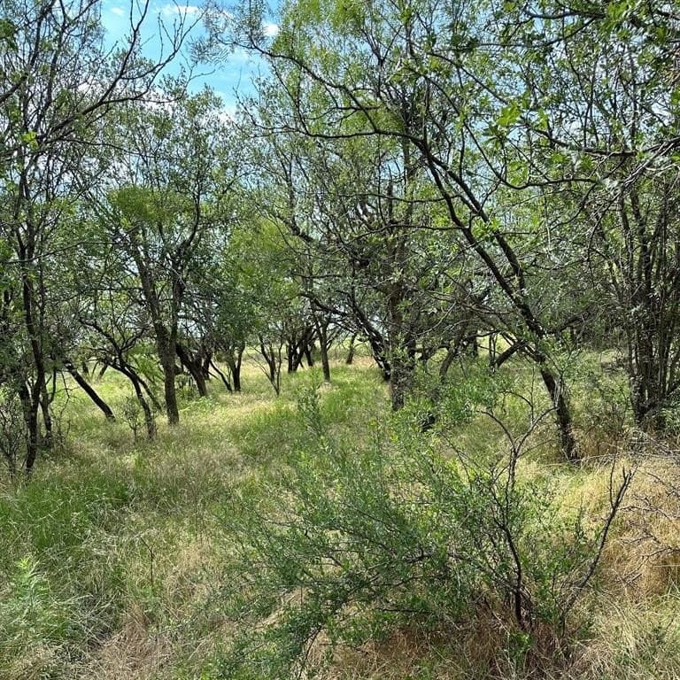 11 acres in Shackelford County - photo 5