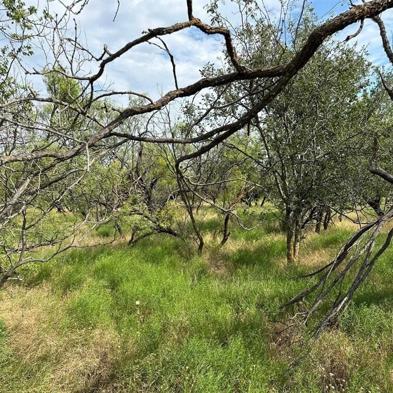 11 acres in Shackelford County - photo 4