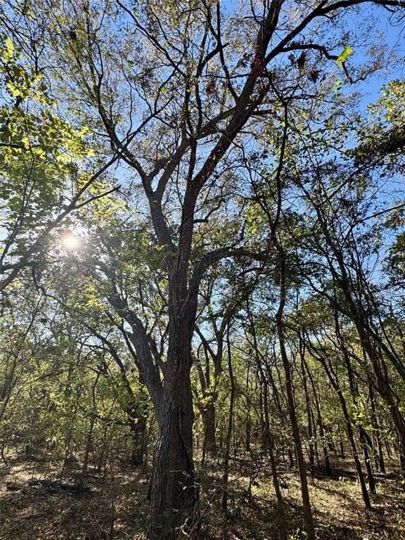 35.57 acres in Collin County - photo 35