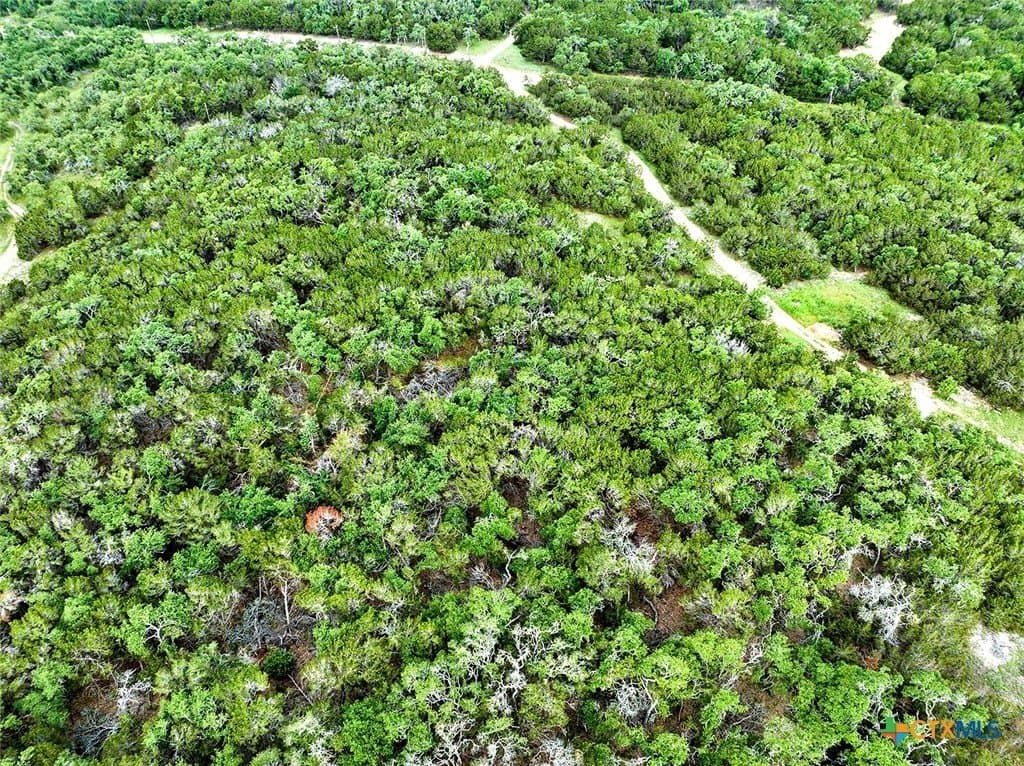11.28 acres in Hays County - photo 7