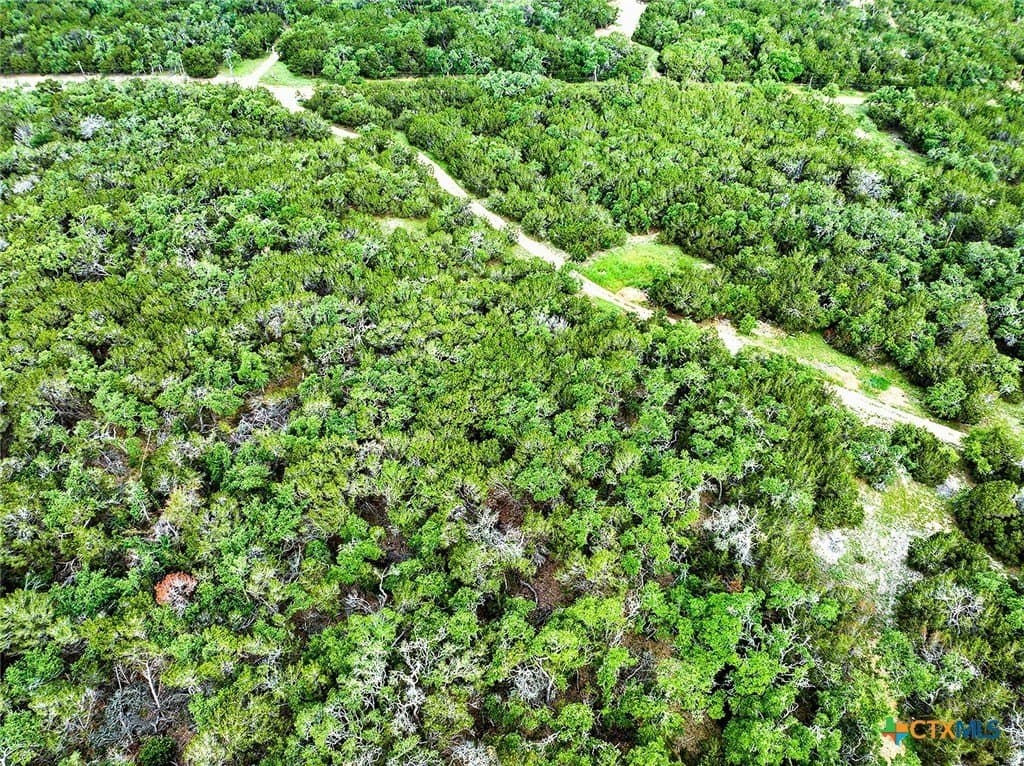 11.28 acres in Hays County - photo 8