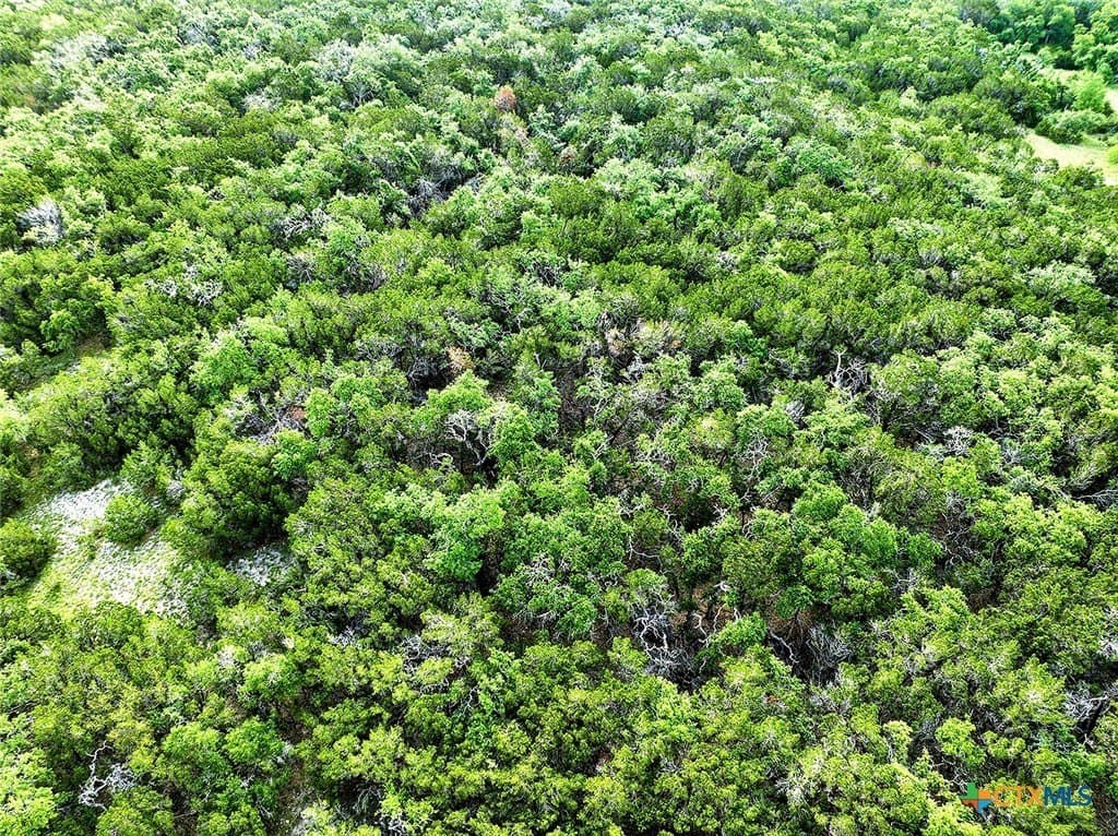 11.28 acres in Hays County - photo 10