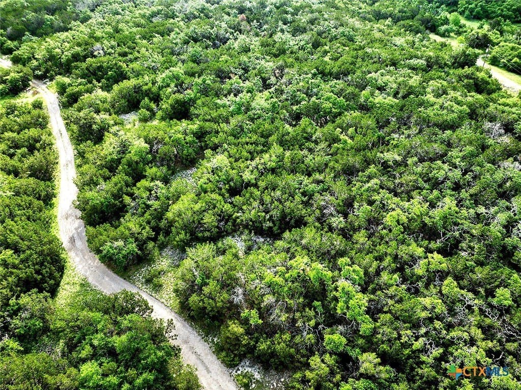 11.28 acres in Hays County - photo 12