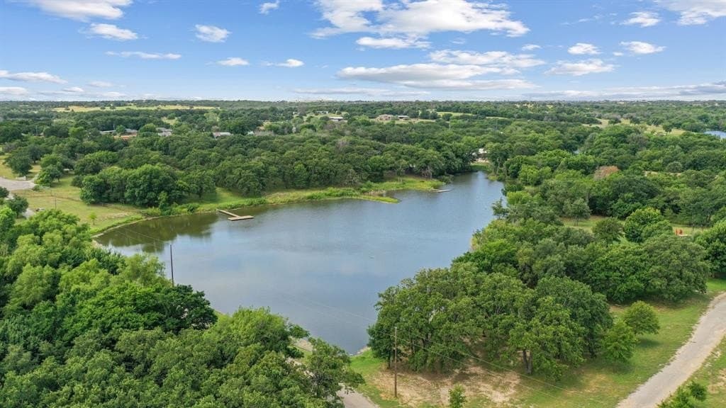 26.47 acres in Parker County - photo 39