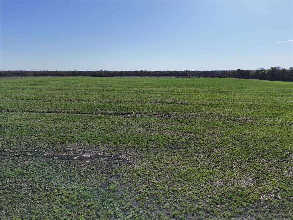 15 acres in Delta County - photo 3