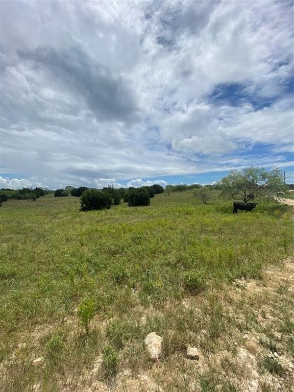 10.01 acres in Hamilton County - photo 2