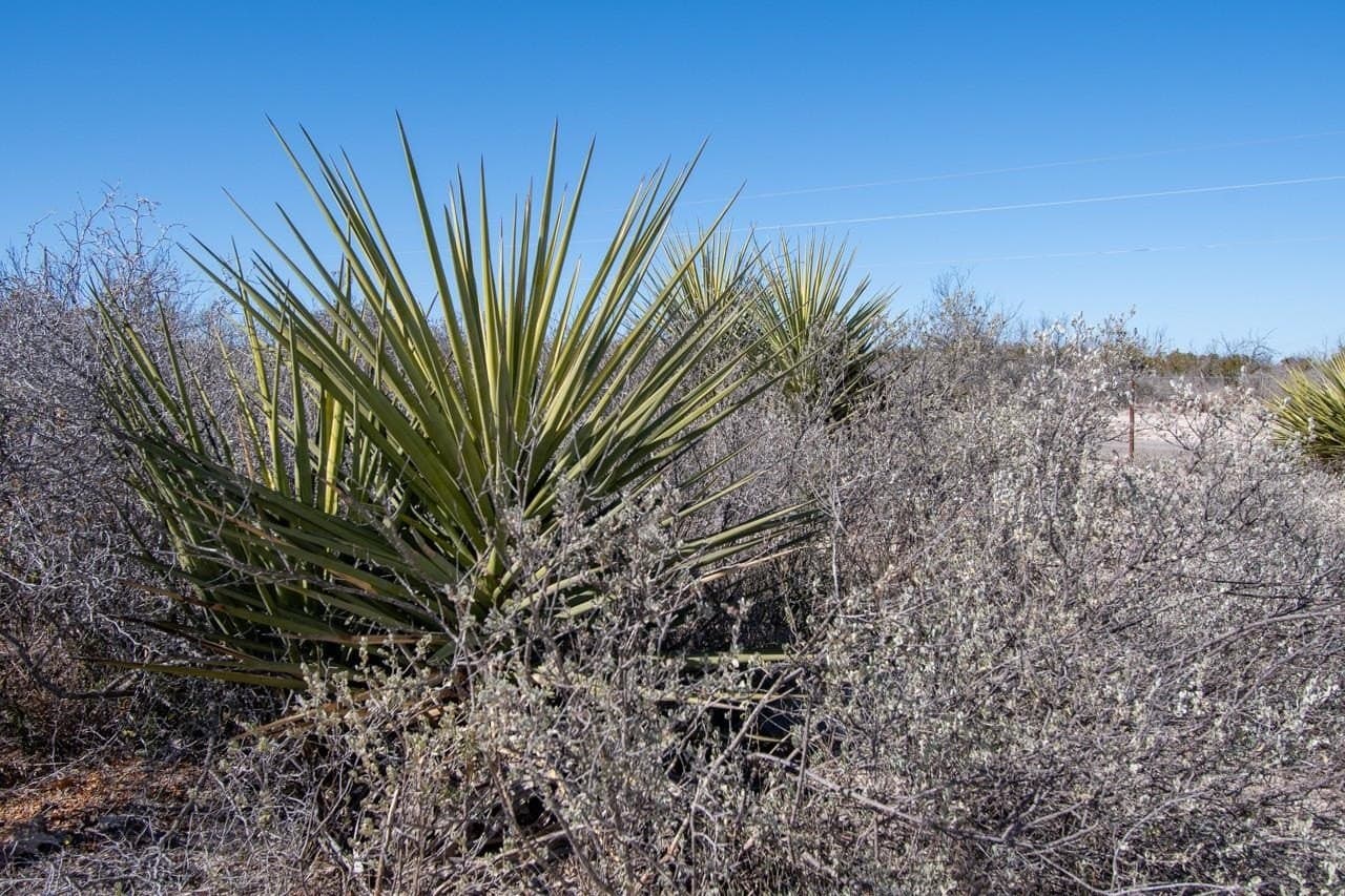 10.88 acres in Val Verde County - photo 33