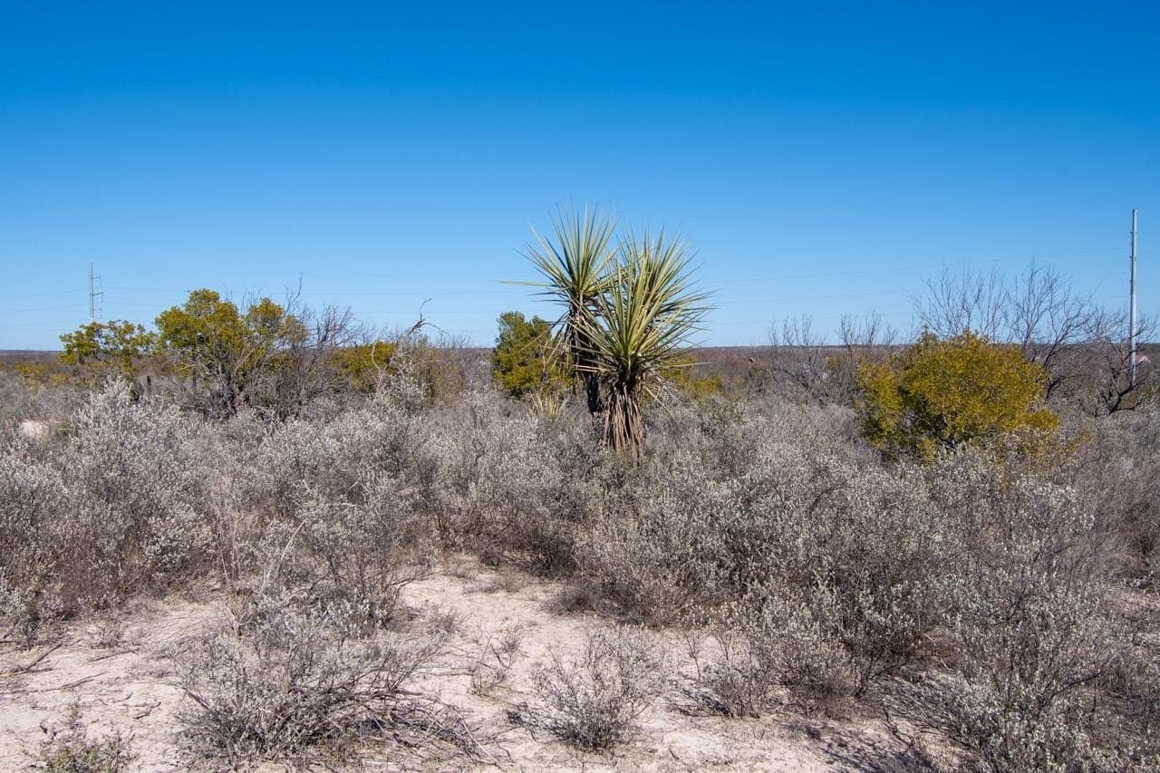 10.88 acres in Val Verde County - photo 34