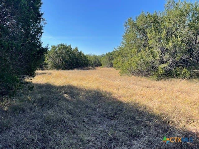 16.38 acres in Lampasas County - photo 2
